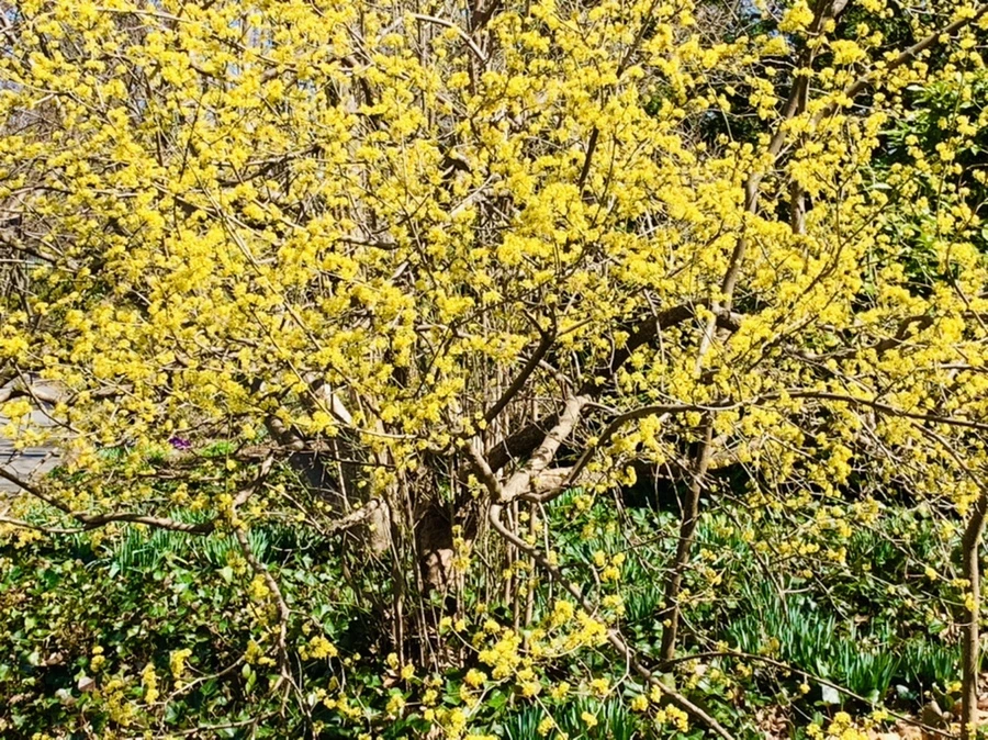 IMG_5739.jpg?type=w966