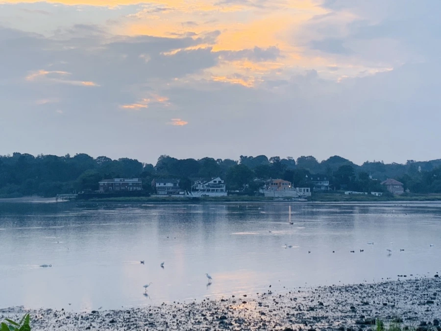 IMG_8179.jpg?type=w966