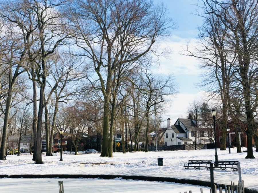 IMG_2978.jpg?type=w966