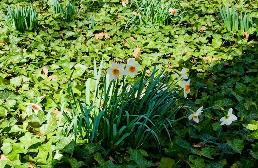 IMG_4628.jpg?type=w966