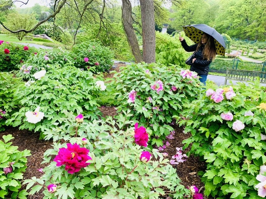 IMG_9961.jpg?type=w966