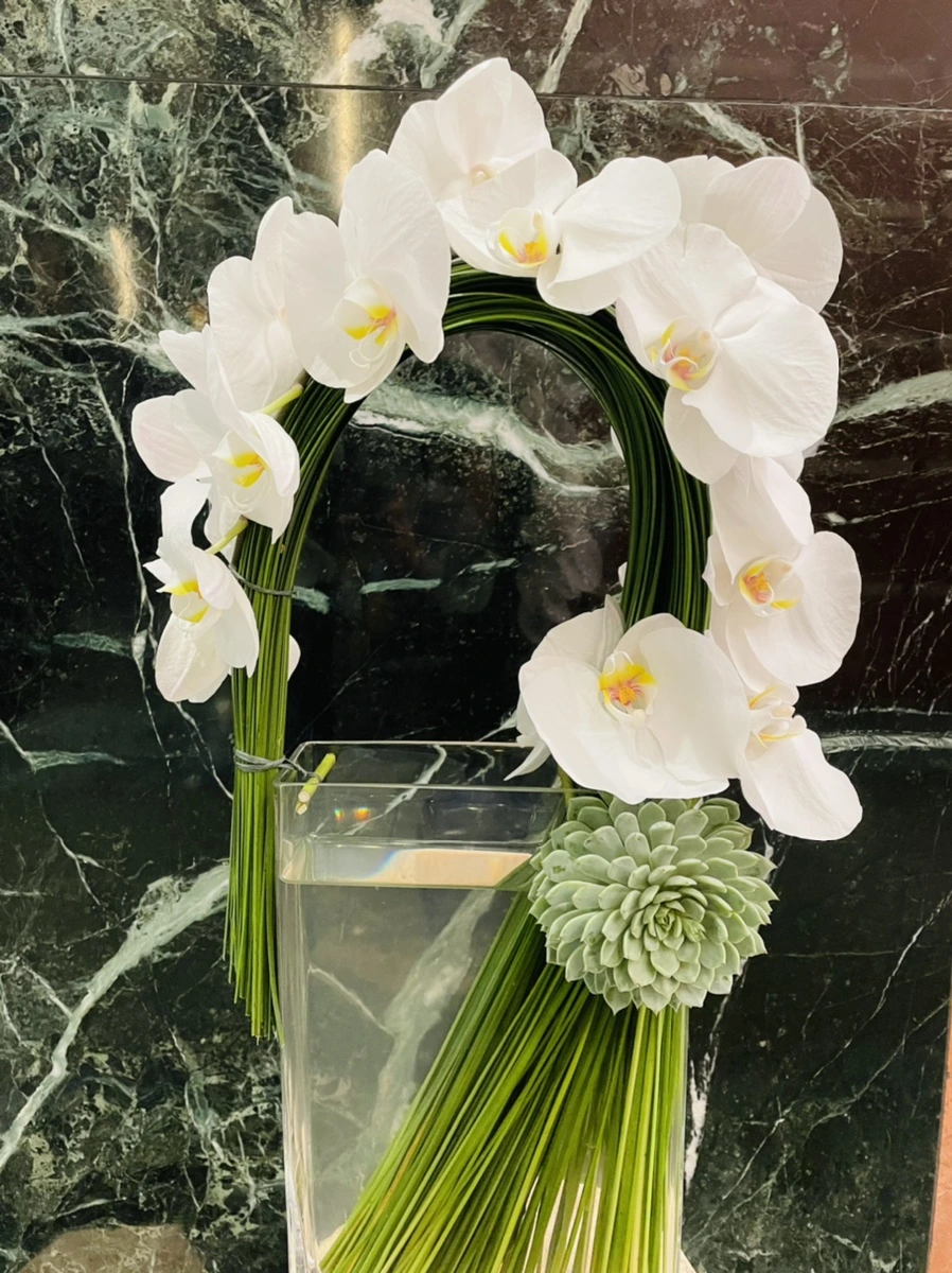 IMG_3850.jpg?type=w966