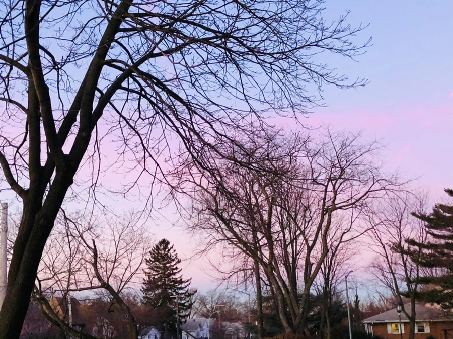 IMG_5600.jpg?type=w966