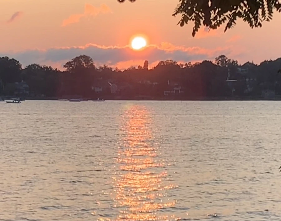 IMG_5474.jpg?type=w966