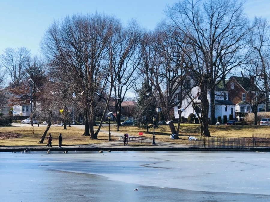 IMG_6560.jpg?type=w966