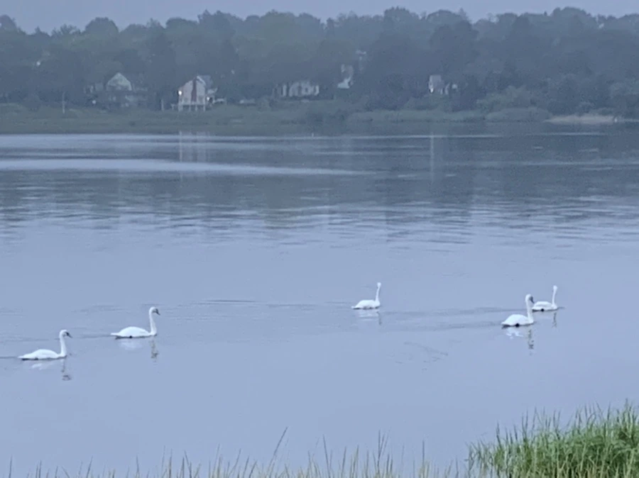 IMG_6653.jpg?type=w966