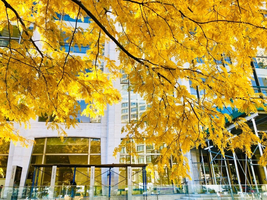 IMG_7572.jpg?type=w966