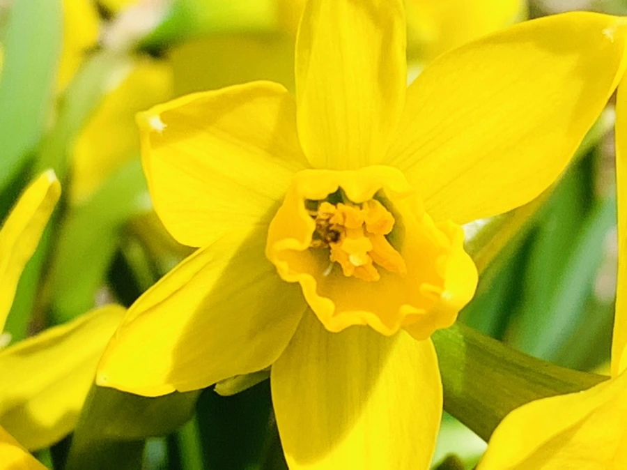 IMG_3422.jpg?type=w966