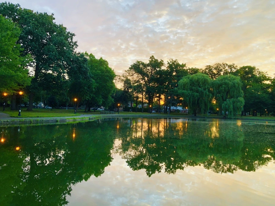 IMG_3721.jpg?type=w966