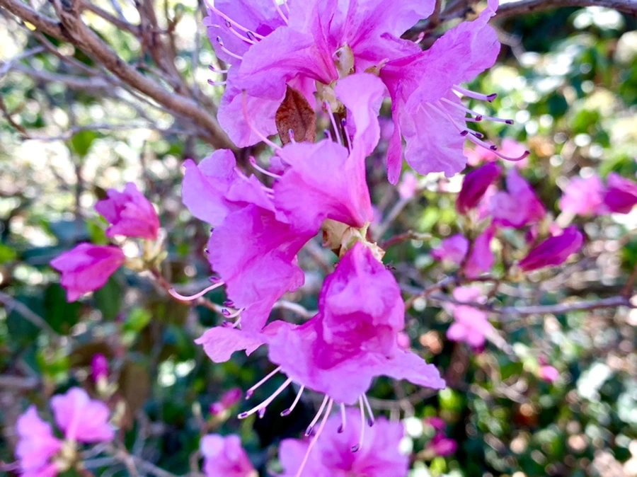 IMG_5638.jpg?type=w966