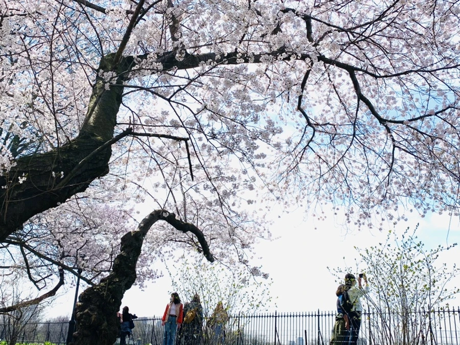 IMG_0138.jpg?type=w966