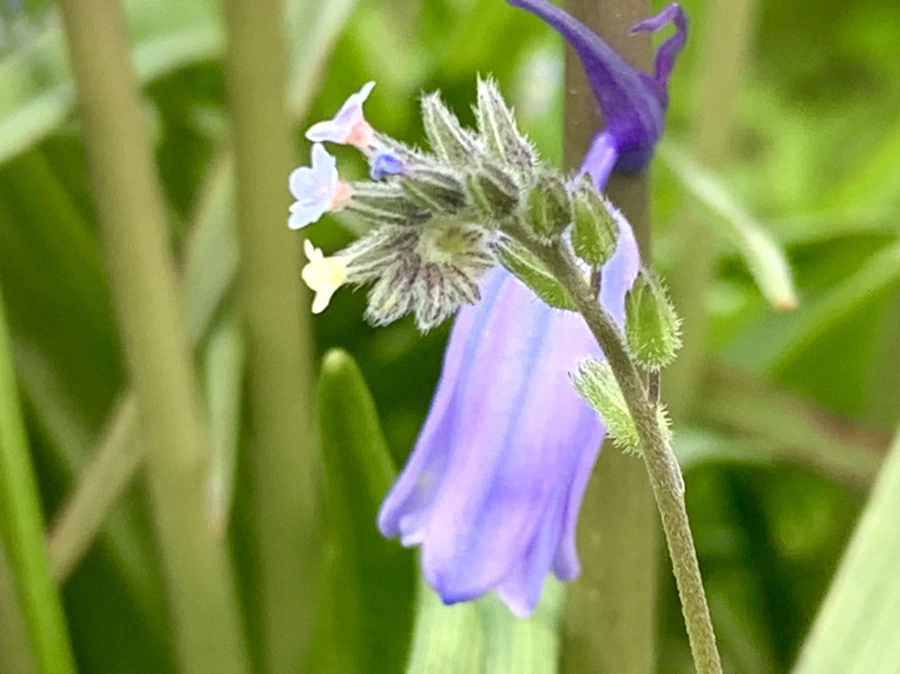 IMG_8651.jpg?type=w966