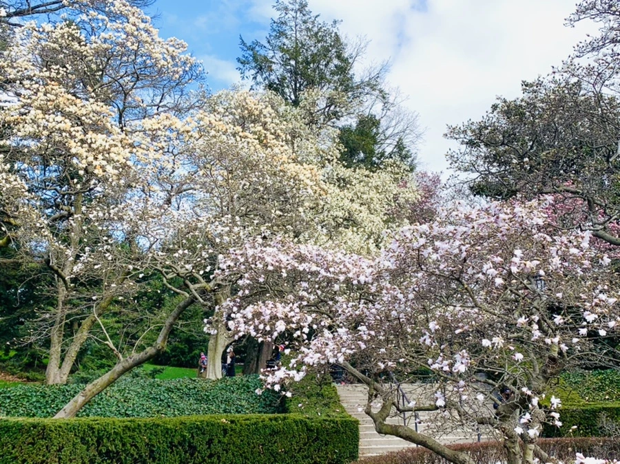 IMG_6492.jpg?type=w966