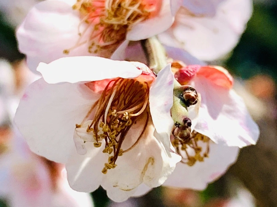 IMG_4211.jpg?type=w966