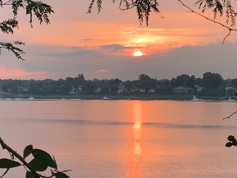 IMG_0222.jpg?type=w966