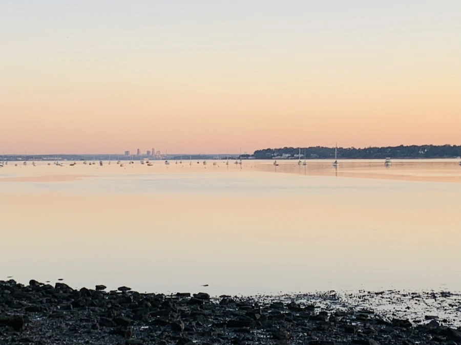 IMG_8546.jpg?type=w966