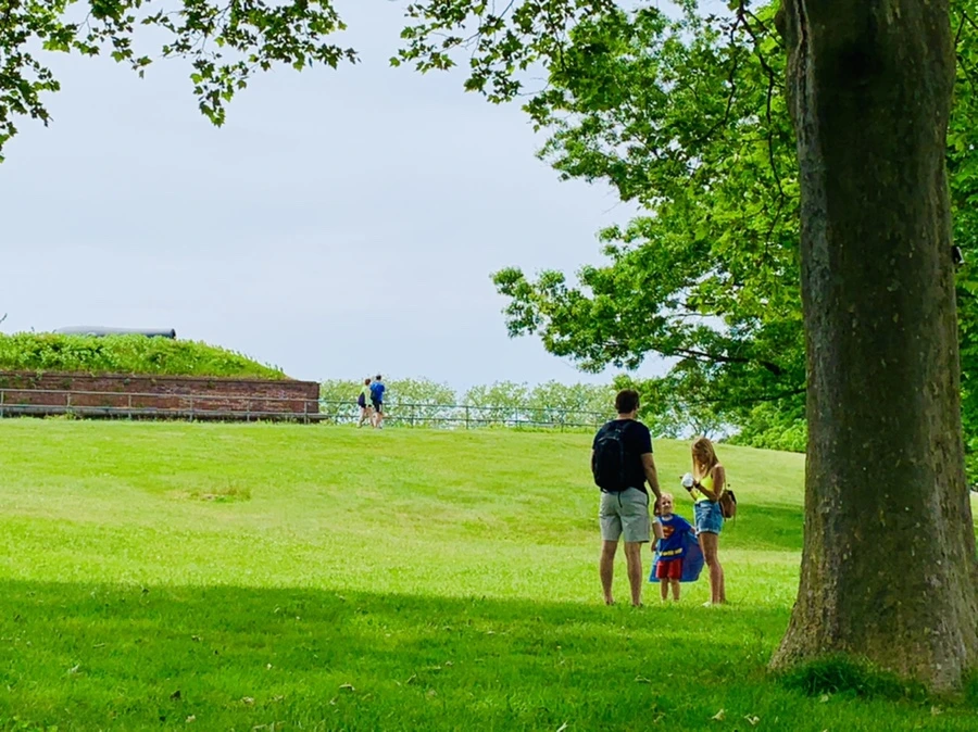 IMG_5181.jpg?type=w966