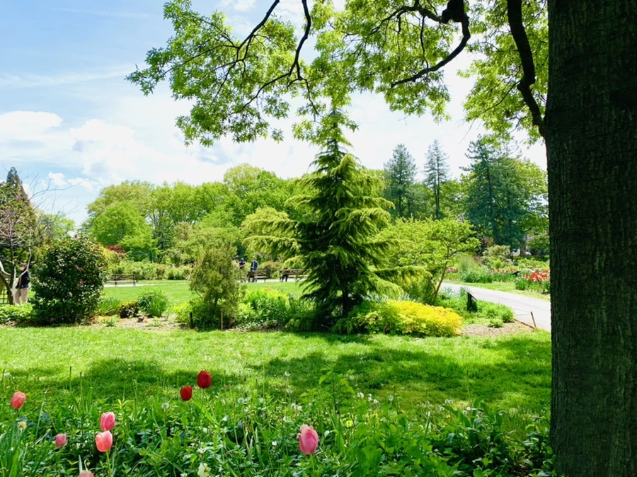 IMG_1396.jpg?type=w966