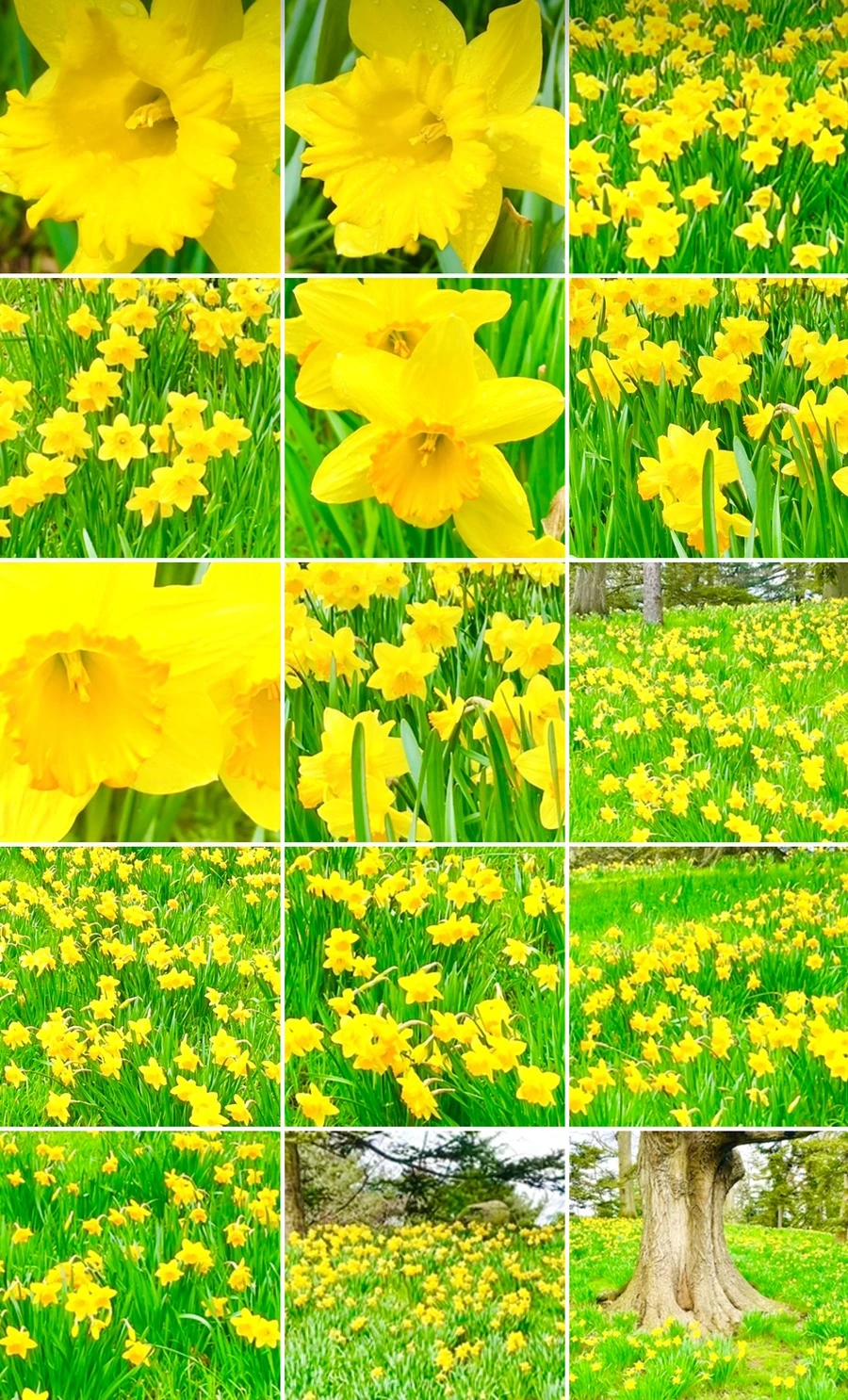 IMG_7597.jpg?type=w966