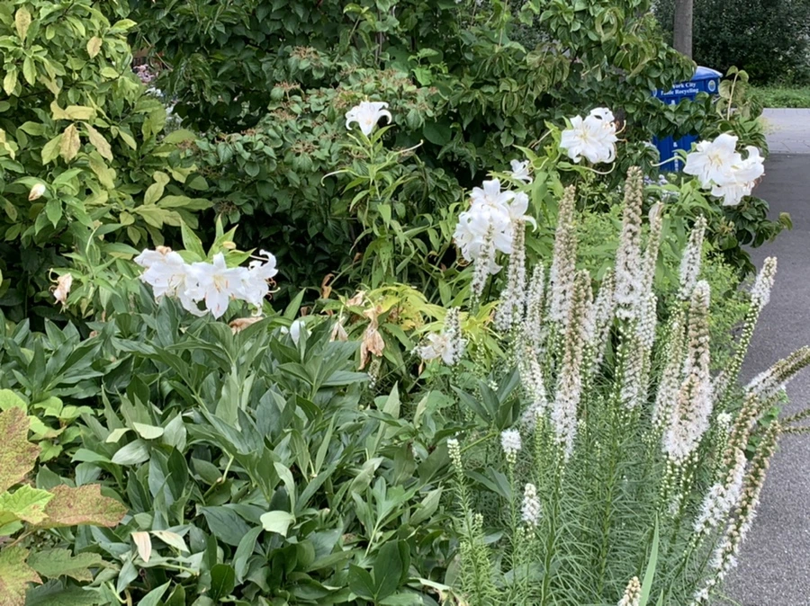 IMG_5085.jpg?type=w966