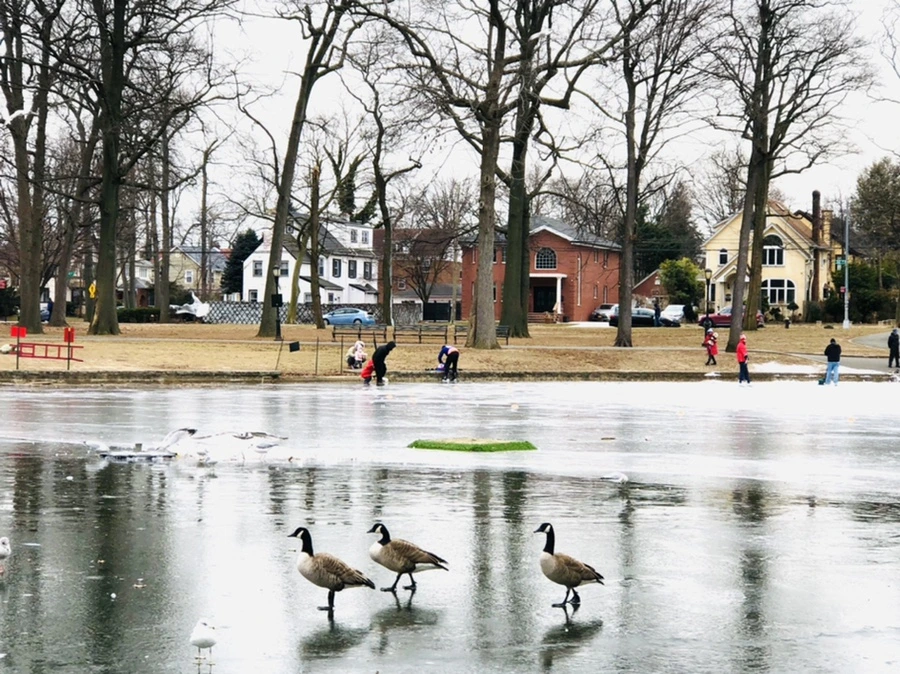 IMG_8329.jpg?type=w966