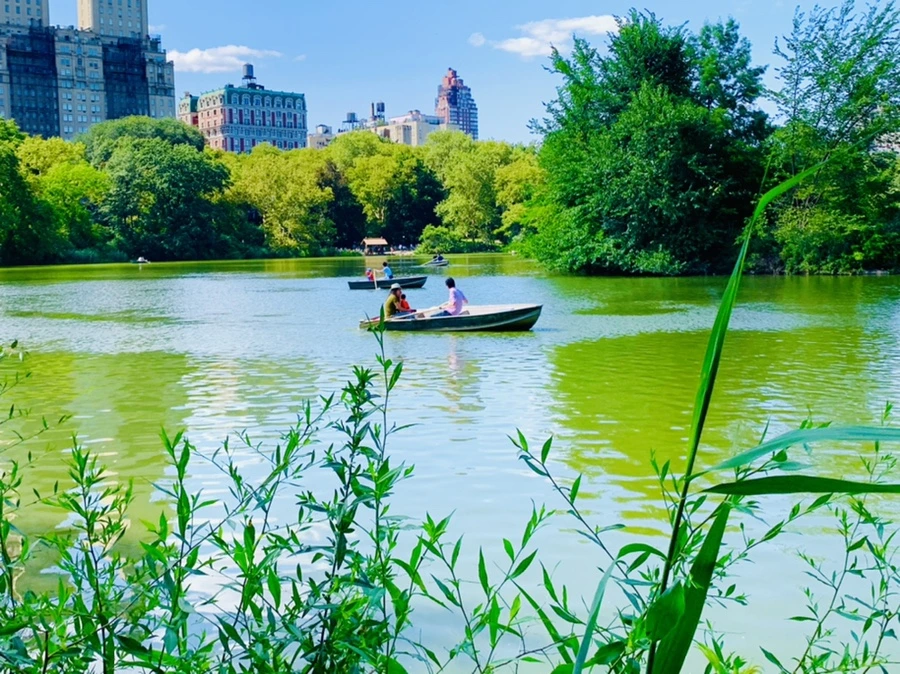 IMG_4475.jpg?type=w966