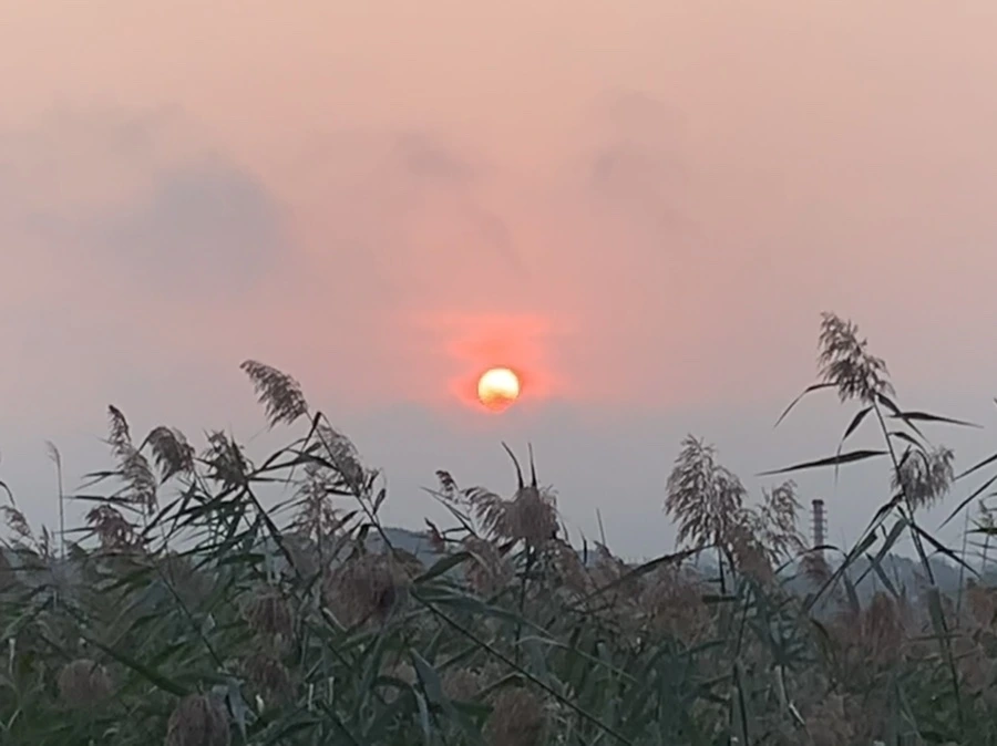 IMG_1098.jpg?type=w966