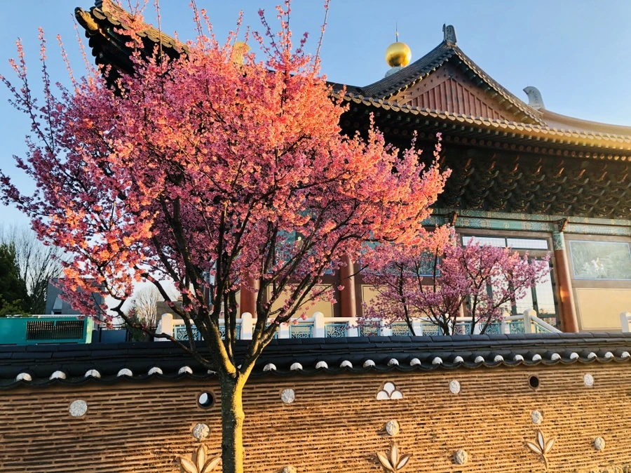 IMG_6327.jpg?type=w966