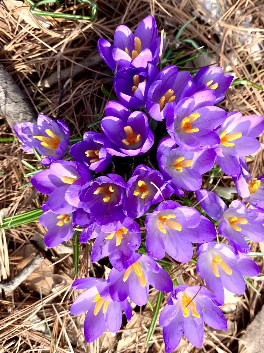 IMG_0117.jpg?type=w966