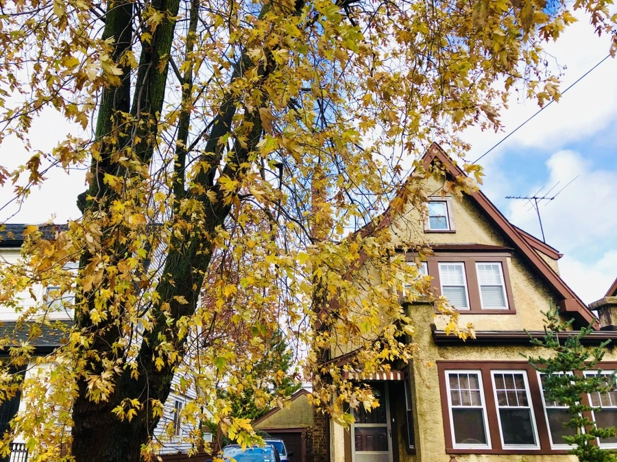 IMG_5431.jpg?type=w966