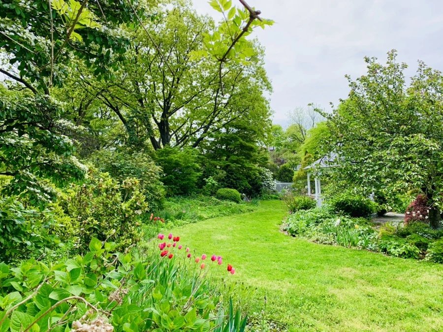 IMG_1289.jpg?type=w966