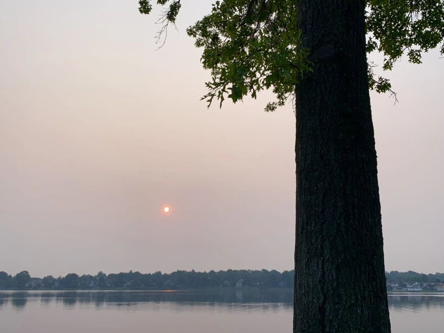 IMG_8084.jpg?type=w966