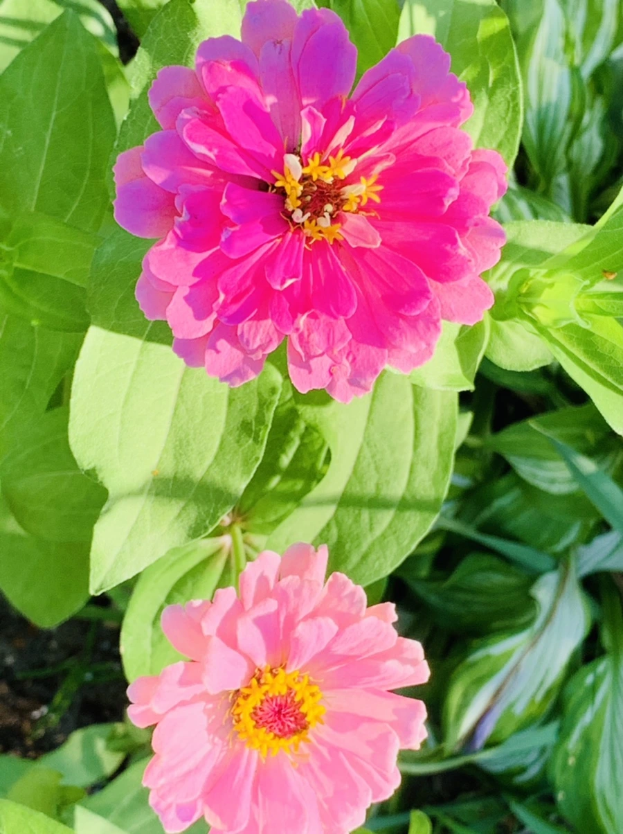 IMG_8724.jpg?type=w966