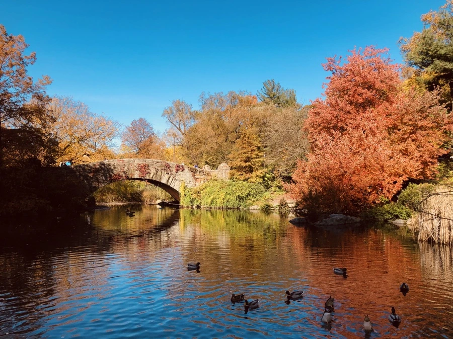 IMG_3783.jpg?type=w966