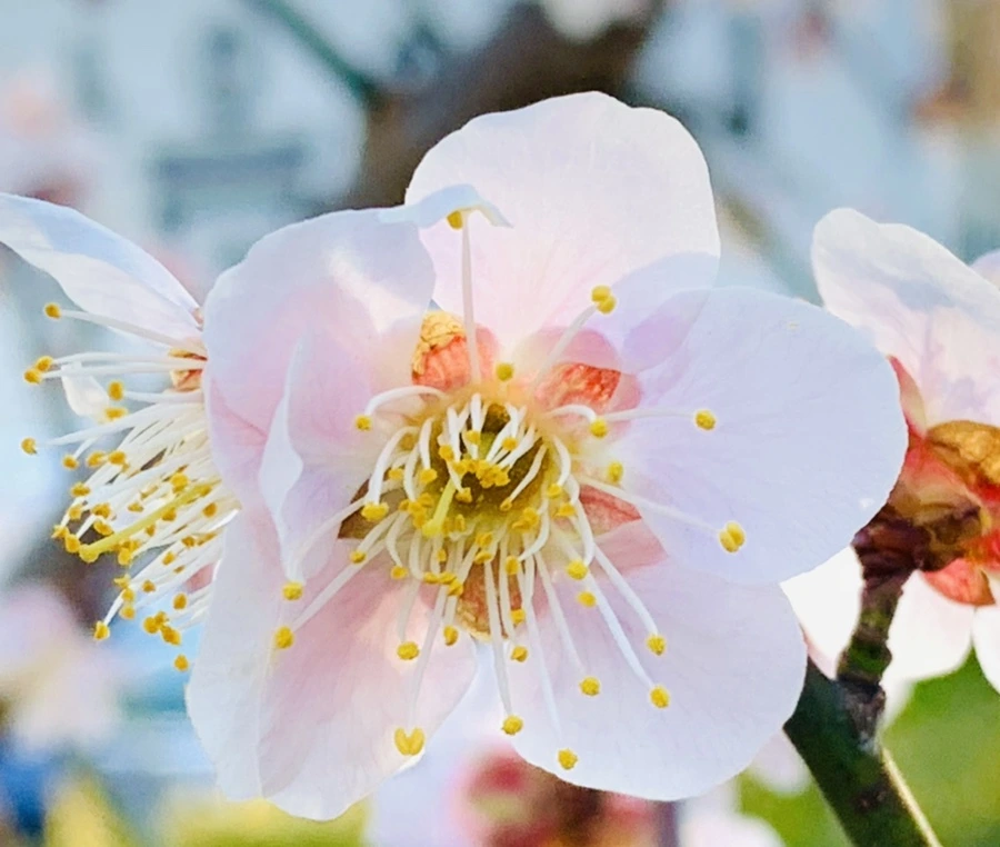 IMG_0764.jpg?type=w966