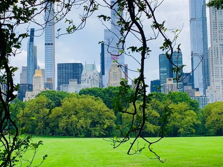 IMG_9873.jpg?type=w966