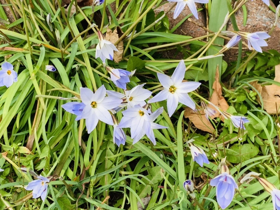 IMG_6737.jpg?type=w966