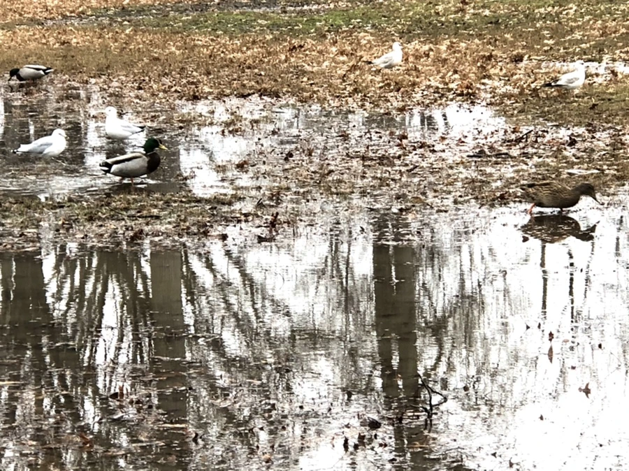 IMG_9403.jpg?type=w966