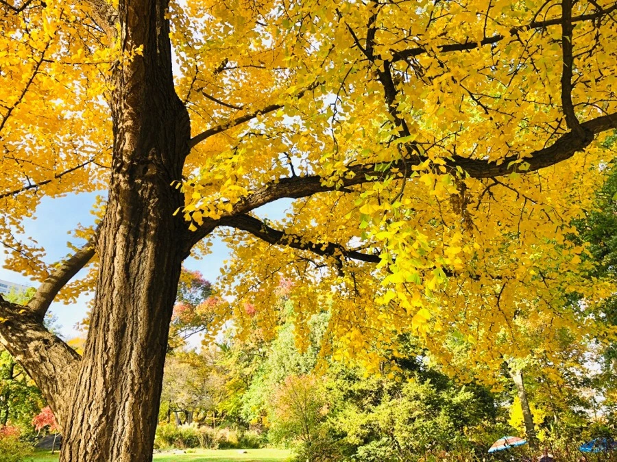 IMG_7545.jpg?type=w966