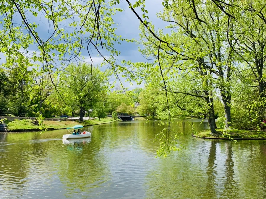 IMG_2483.jpg?type=w966