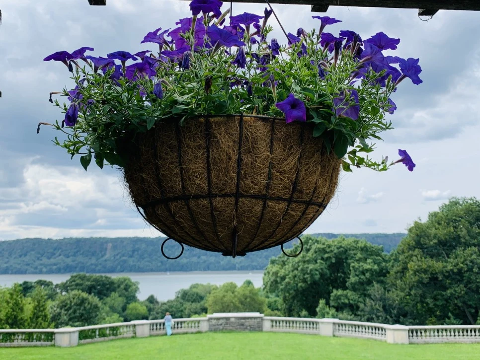 IMG_9375.jpg?type=w966