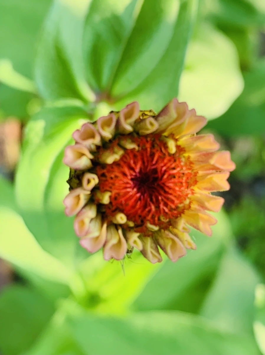 IMG_8280.jpg?type=w966