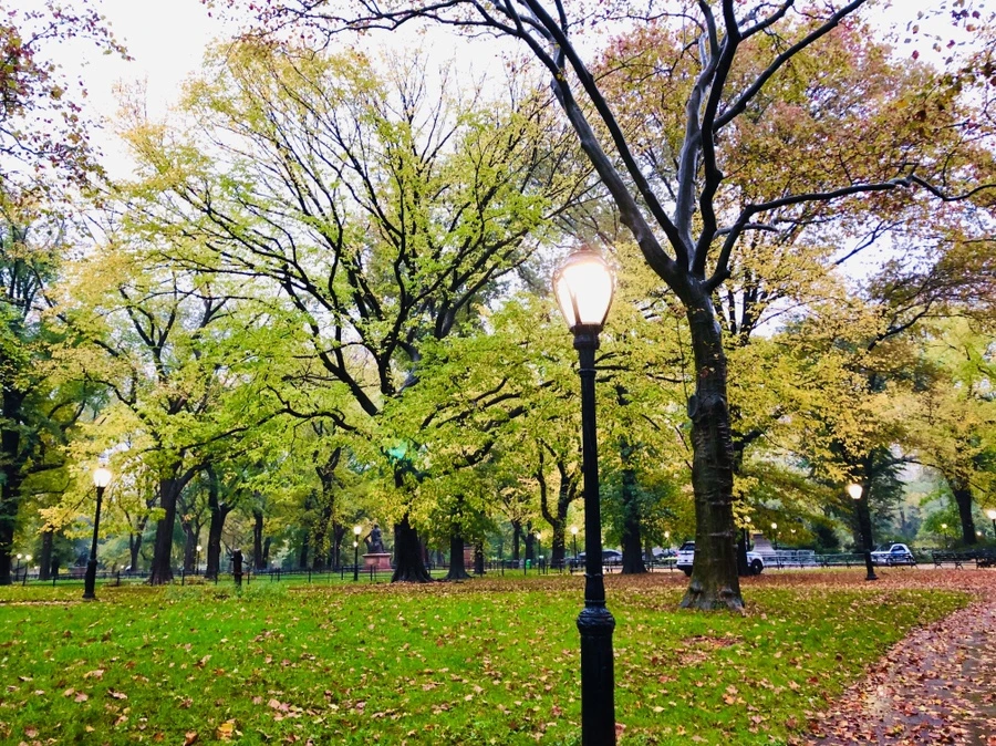 IMG_3122.jpg?type=w966