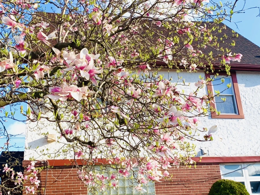 IMG_2691.jpg?type=w966