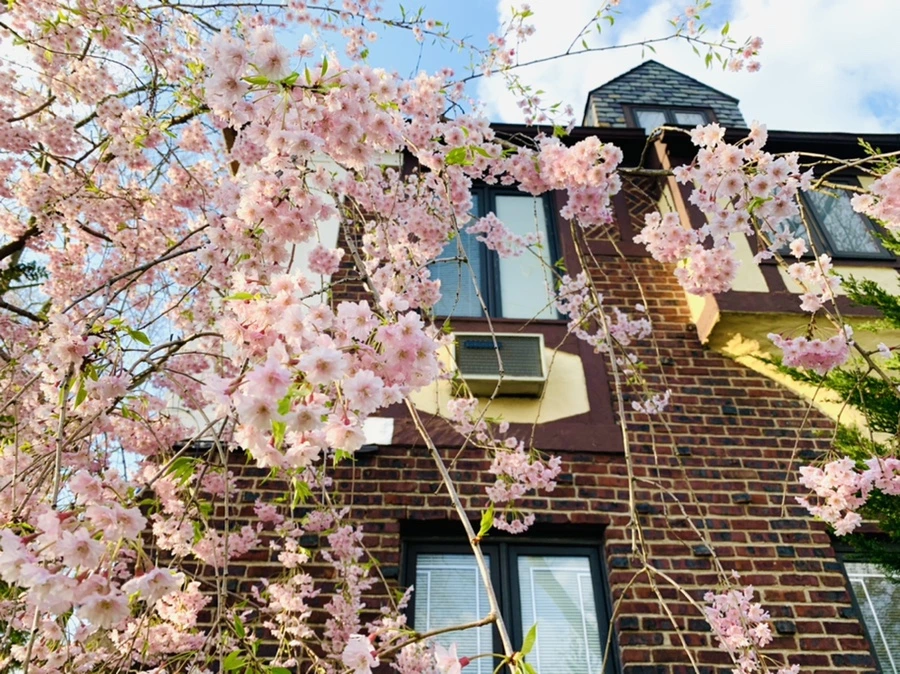 IMG_3780.jpg?type=w966