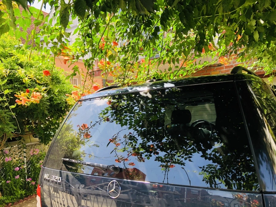 IMG_5582.jpg?type=w966