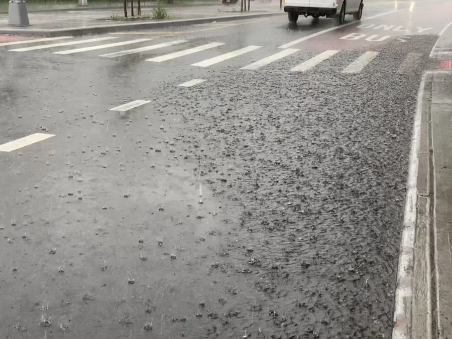 IMG_8817.jpg?type=w966