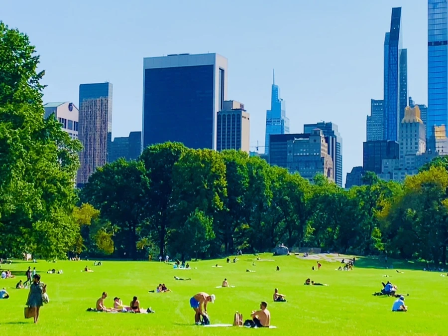 IMG_9692.jpg?type=w966