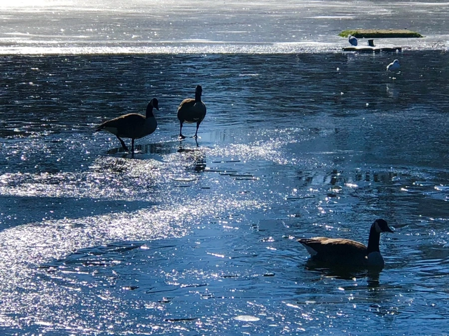 IMG_7958.jpg?type=w966