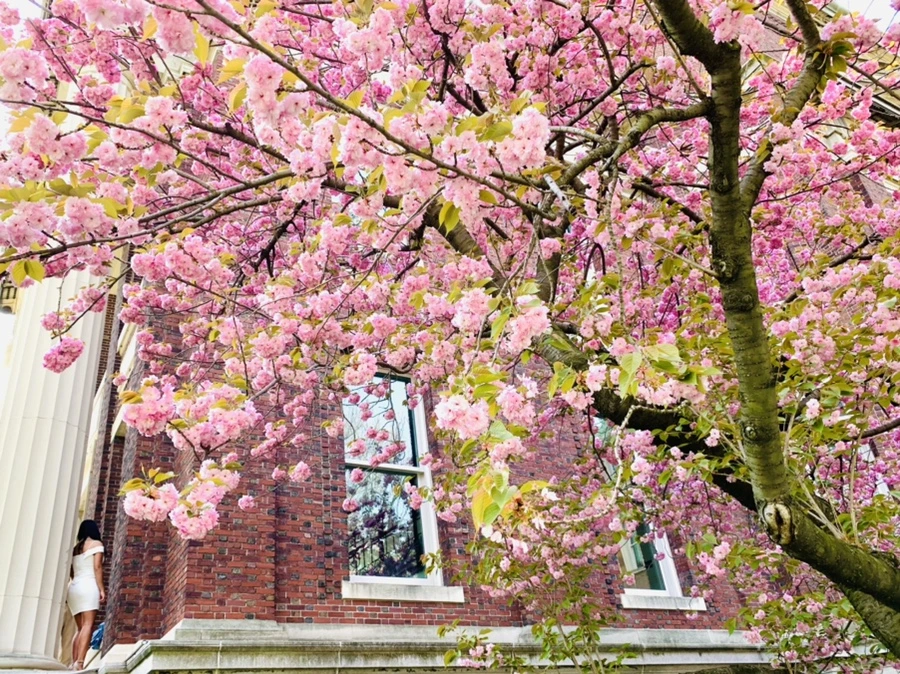 IMG_5111.jpg?type=w966